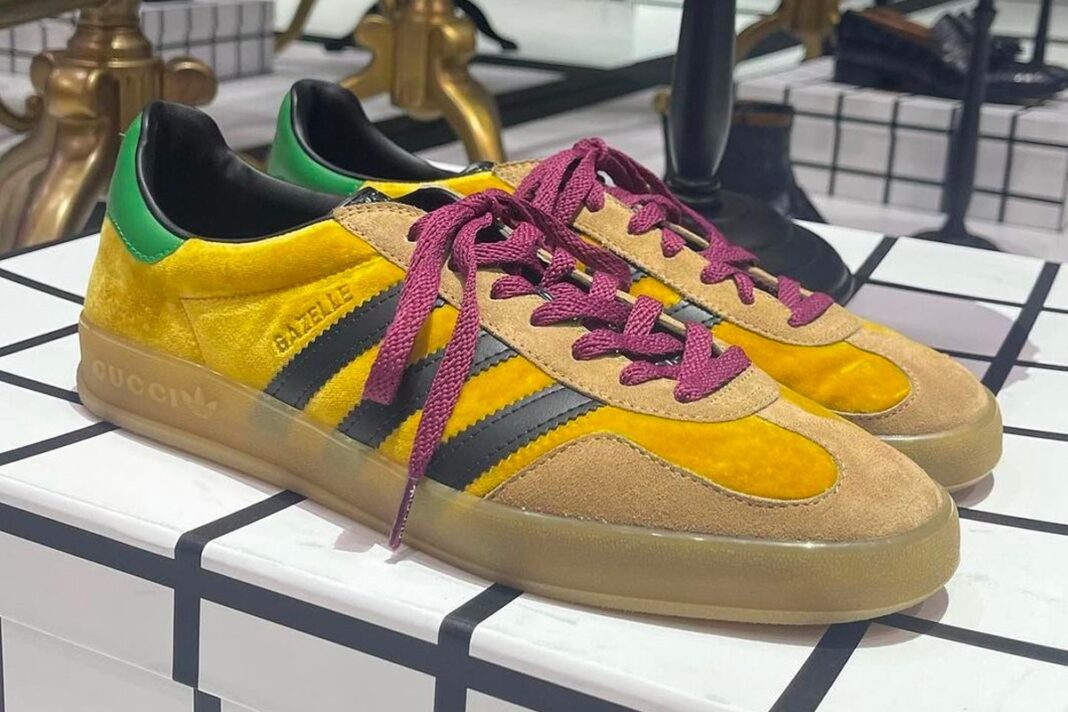 Adidas Gazelle x Gucci