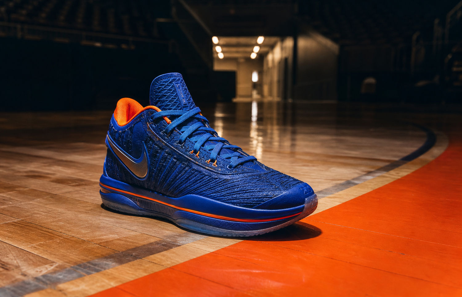 Nike LeBron XXIII Hardwood Classics IM5125-400