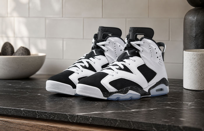 Air Jordan 6 Black White CT8529-108