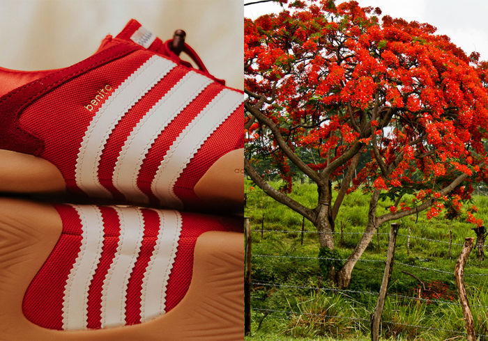 Bad Bunny x adidas Ballerina Flamboyan Red