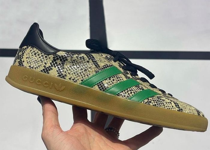 Gucci x Adidas Gazelle