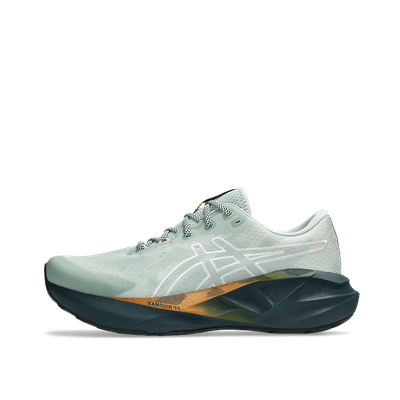 ASICS Novablast 5 "Nature Bathing / Lichen Rock" | 1011C138-300