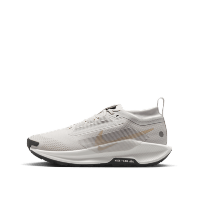 Nike Pegasus Trail 5 GORE-TEX Wmns "Grey" | FQ0912-008