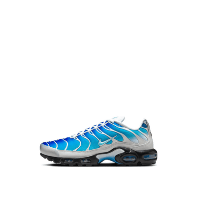 nike-x-one-block-down-air-max-plus-sp-blue-fz3308-400
