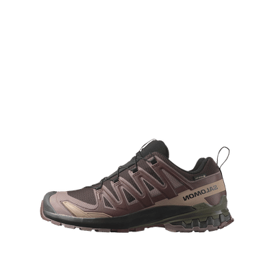 Salomon XA PRO 3D v9 "Gore-Tex" | L47583500