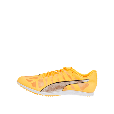 Puma evoSPEED Distance 10 | 377381-01