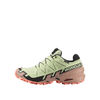 Salomon Speedcross 6 Gore-Tex Wmns | L47765500