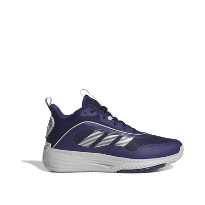 Adidas Ownthegame 3.0 "Blue" | JS2171
