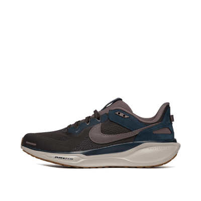 Nike Air Zoom Pegasus 41 SP "Bruin" | HQ6025-200