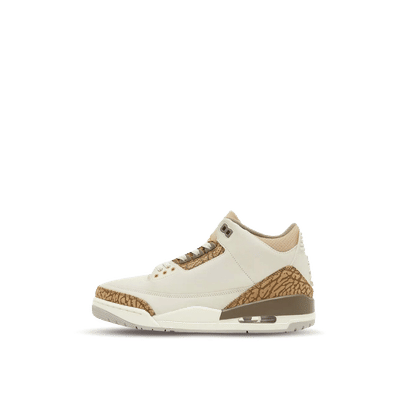 Air Jordan 3 Retro "Palomino" | CT8532-102