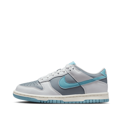 nike-dunk-low-grey-fb9109-008