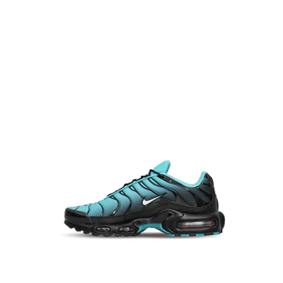 nike-air-max-plus-light-retro-dm0032-401