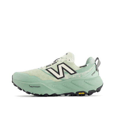 New Balance Fresh Foam Hierro v9 GORE-TEX "Grey/Beige/Green" | WTHIGLA9