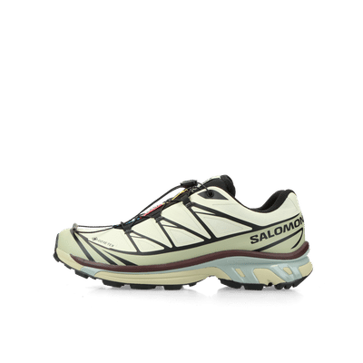 Salomon XT-6 GTX "Asparagus/Green Tea/Bitter Chocolate" | L49202200