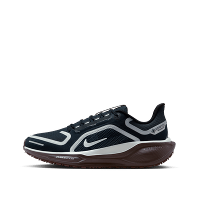 Nike Pegasus 41 GORE-TEX Wmns "Blue" | FQ1357-401