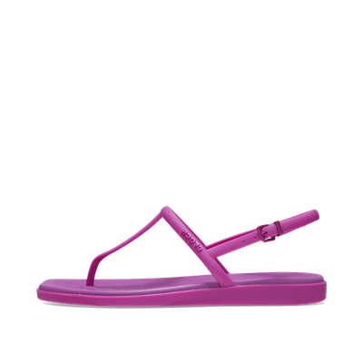 Crocs Miami "Grapeberry" | 2097935BV
