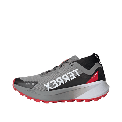 Adidas Terrex Agravic GTX Wmns "Grey/White" | IH3776