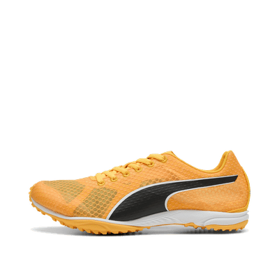 PUMA evoSPEED Haraka 8 "Sun Stream/Black/White" | 311858-01