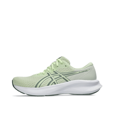 asics-patriot-14-wmns-1012b836-300