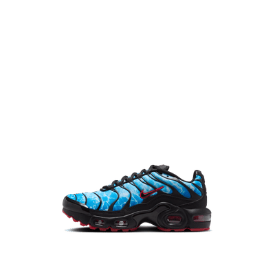 Nike Air Max Plus "Blue" | HV2884-400