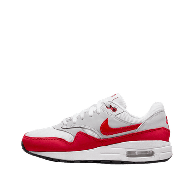 Nike Air Max 1 (GS) "Multicolor" | DZ3307-003