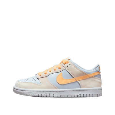 nike-dunk-low-gs-white-fb9109-100