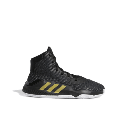 Adidas Pro Bounce 2019 "Black" | EF0868