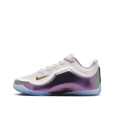 Nike LeBron XXIII "For The Record" "White" | IV4873-102