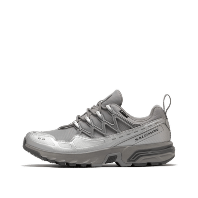 Salomon ACS+ GTX "Alloy/Clrock/Ftw Silver" | L49093600