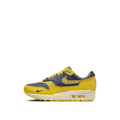 Nike Air Max 1 CO.JP "Michigan Head to Head" | FJ5479-410