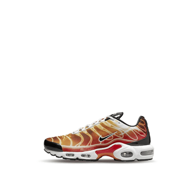 Nike Air Max Plus "Light Photography" | DZ3531-600
