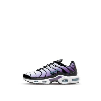 Nike Air Max Plus "Reverse Grape" | FQ2415-500