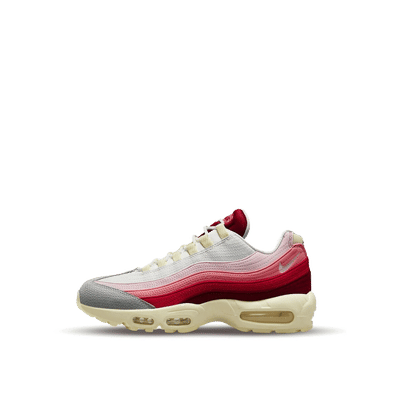 Nike Air Max 95 "Anatomy of Air" | DM0012-600
