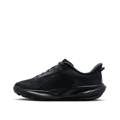 Nike Pegasus "Black" | IH2305-003