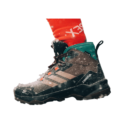 sneaker