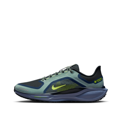 Nike Pegasus 41 GORE-TEX "Green" | FQ1356-006