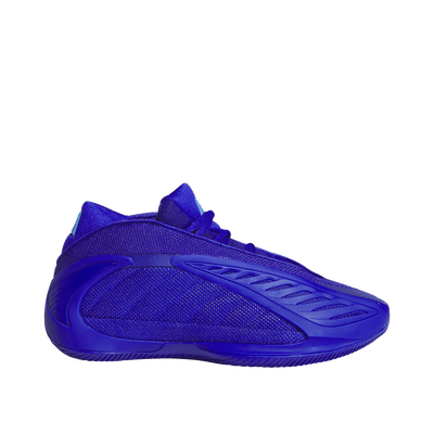 Adidas Anthony Edwards 2 J "Blue" | JQ2067