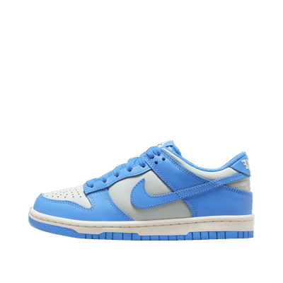 nike-dunk-low-gs-light-silversaillight-photo-blue-fb9109-004