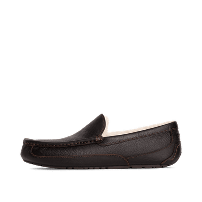 UGG Ascot "Dark Spice" | 5379-DSP