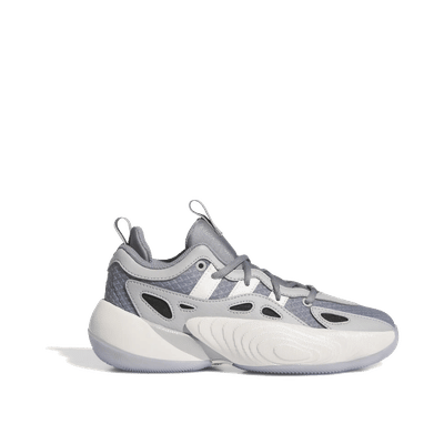 Adidas Trae Unlimited "Grey" | IG6692