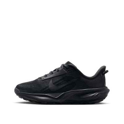 Nike Pegasus "Black" | IH2305-003