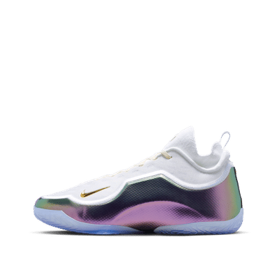 Nike LeBron XXIII Elite "For the Record" | IB9557-100
