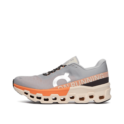 on-cloudmonster-2-grey-3me10123198