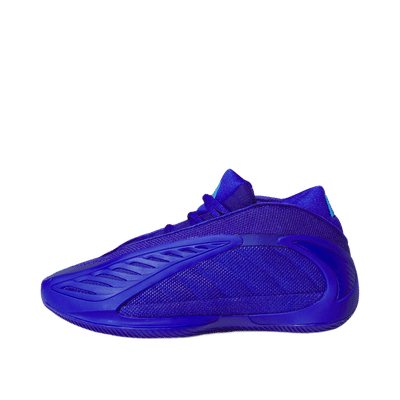 Adidas Anthony Edwards 2 J "Blue" | JQ2067