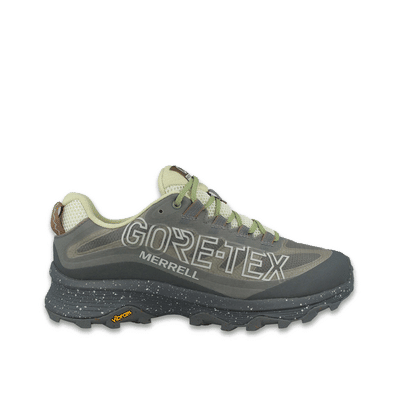 Merrell MOAB Speed SE GORE-TEX "Gray" | J006559