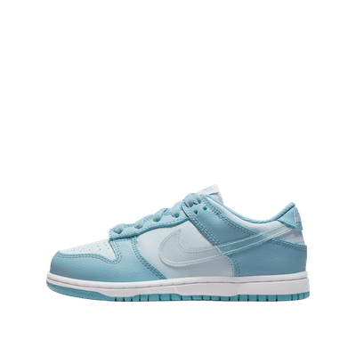 Nike "Clear Swoosh" | DH9756-401