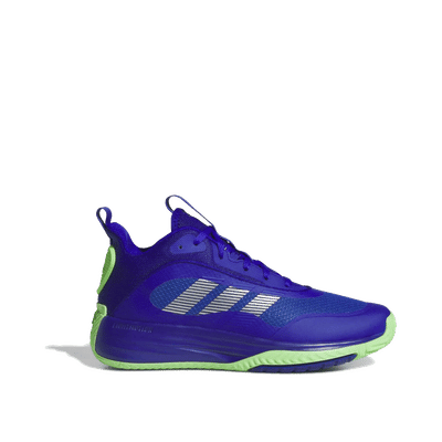 Adidas Ownthegame 3.0 "Violet" | JR6670