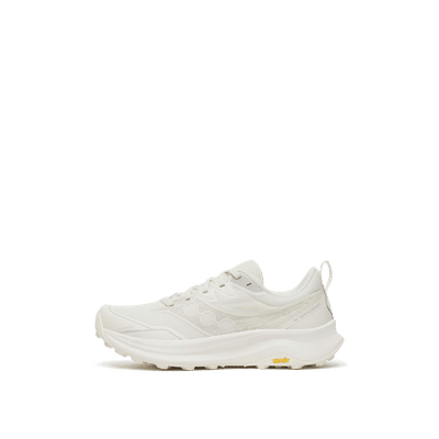 Saucony Peregrine 16 Gore-Tex "White" | S11068-105