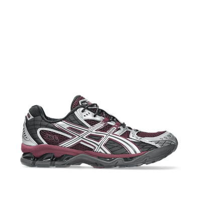 ASICS Gel-Nimbus 10.1 "Beniimo Purple/Pure Silver" | 1203A543-501
