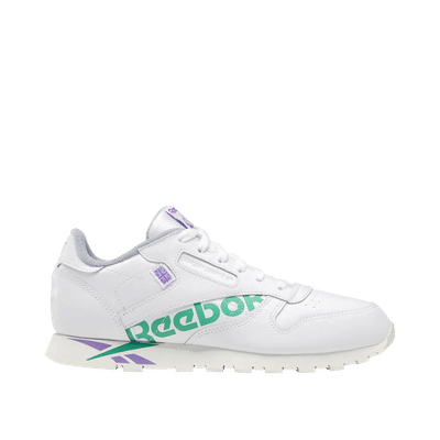 reebok-classics-leather-white-dv9598